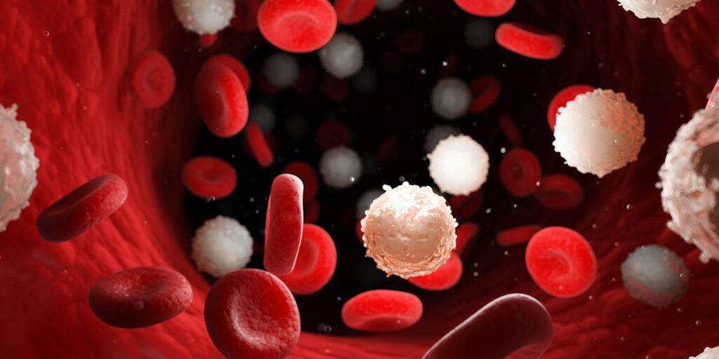 5 SUPERFOODS To Increase White Blood Cells Count & Boost Immunity