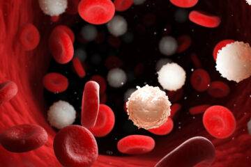 5 SUPERFOODS To Increase White Blood Cells Count & Boost Immunity