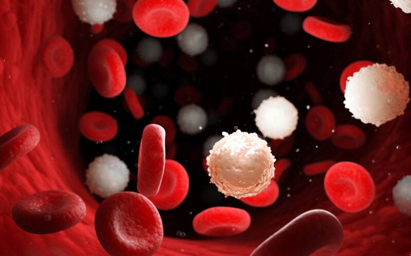 5 SUPERFOODS To Increase White Blood Cells Count & Boost Immunity